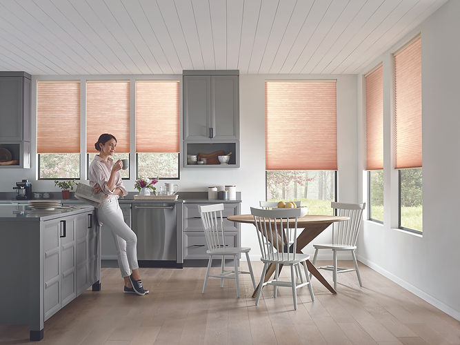 Blinds and Shades