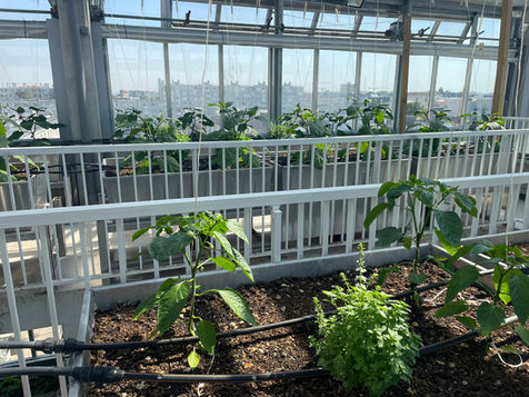 Le levier de la contractualisation entre agriculteurs et collectivités