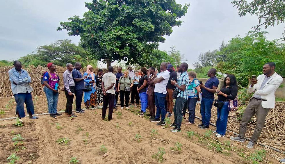 JIFAU 2025 à Dakar : bilan des 4èmes Journées internationales francophones des agricultures urbaines