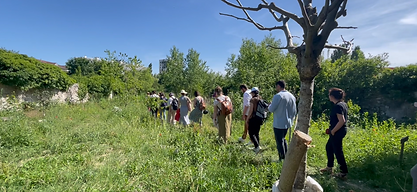 Les trajectoires de néo-ruraux issus du secteur des agricultures urbaines