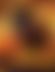 4ème Dimanche de l'Avent Année A - 21 Décembre 2025