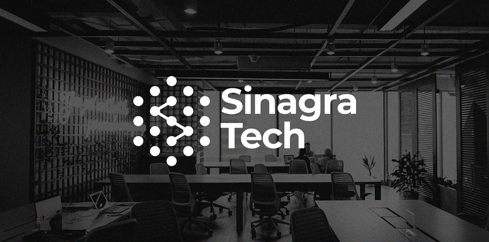 Sinagra Tech Banners.jpg