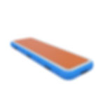 dock to boat boarding ramp