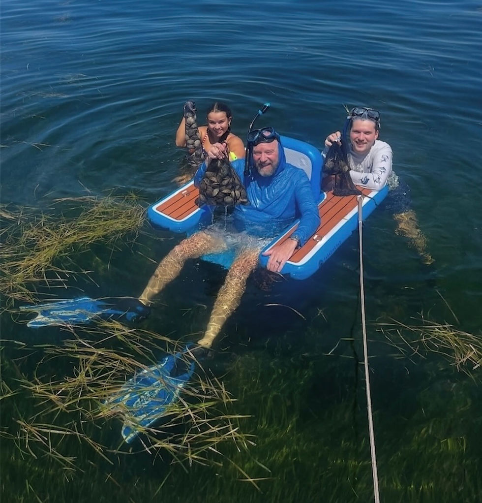 Thumbnail: Relax in the sunlight chair or sun chair lounger. The Paradise Pad is perfect for your chair sun setup and fun.