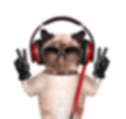Hidden Gems_Cat headphones.jpeg