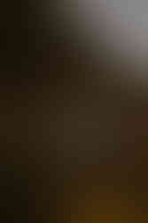 Couple eloping on the cliffs of conkles hollow on their hocking hills elopement day