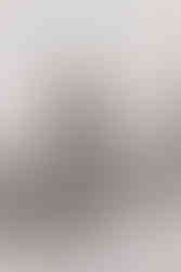 Thick snow on a pine tree on the Owl Creek Pass Ouray Colorado