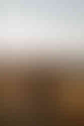 two brides embracing each other while watching the sunset in the blue ridge mountains