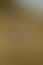 bride and groom embracing the wind and sun spreading their arms apart and closing their eyes standing in a field in Colorado