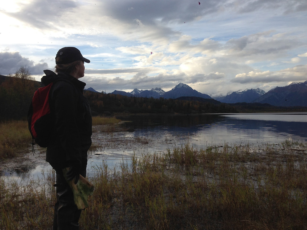McArthur River near Blockade Glacier