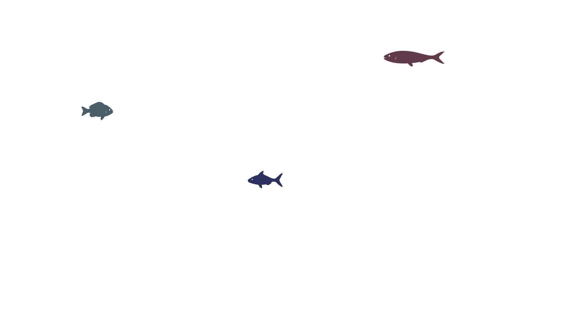 SchoolFish6.gif