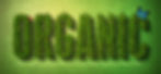 OrganicHeader