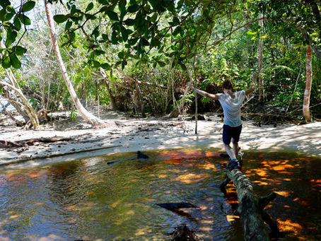 🇬🇧 Results of a sustainable tourism exploration in Costa Rica ✈️🌿