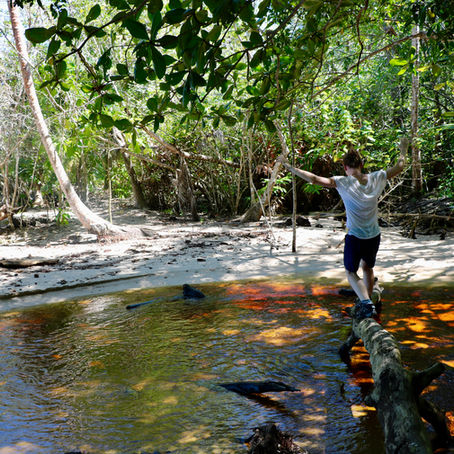 🇬🇧 Results of a sustainable tourism exploration in Costa Rica ✈️🌿