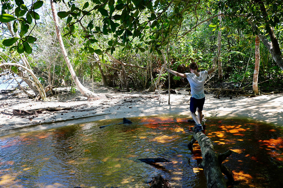 🇬🇧 Results of a sustainable tourism exploration in Costa Rica ✈️🌿