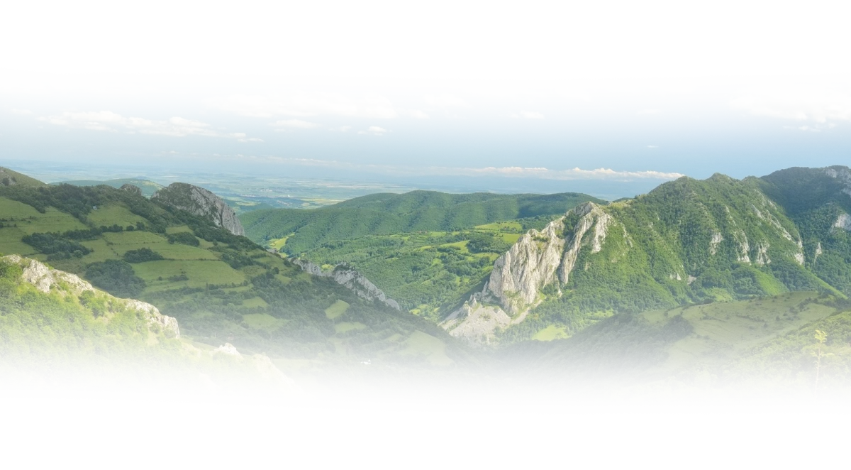 apuseni-61e copya copy.png