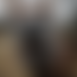 A Talking Donkey - Torah Portion Balak