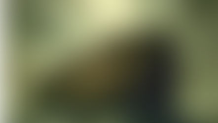 Torah Portion Noach - As in the Days of Noah