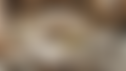 The Rock of Israel - Yeshua