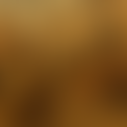 Rome crushed the Bar Kokhba revolt In 135 CE and Renamed Israel - Palestinia 