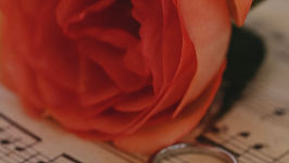 The Song of Solomon and the Beloved Bride