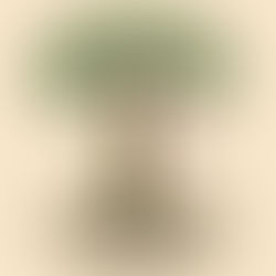 A Multitude of Nations - His Plan All Along