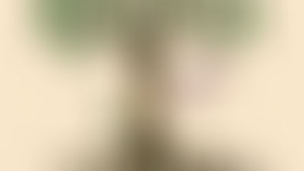 A Multitude of Nations - His Plan All Along