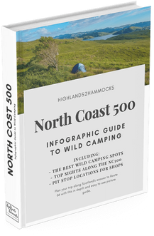 nc500 infographic
