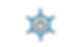 Untitled design (4).png