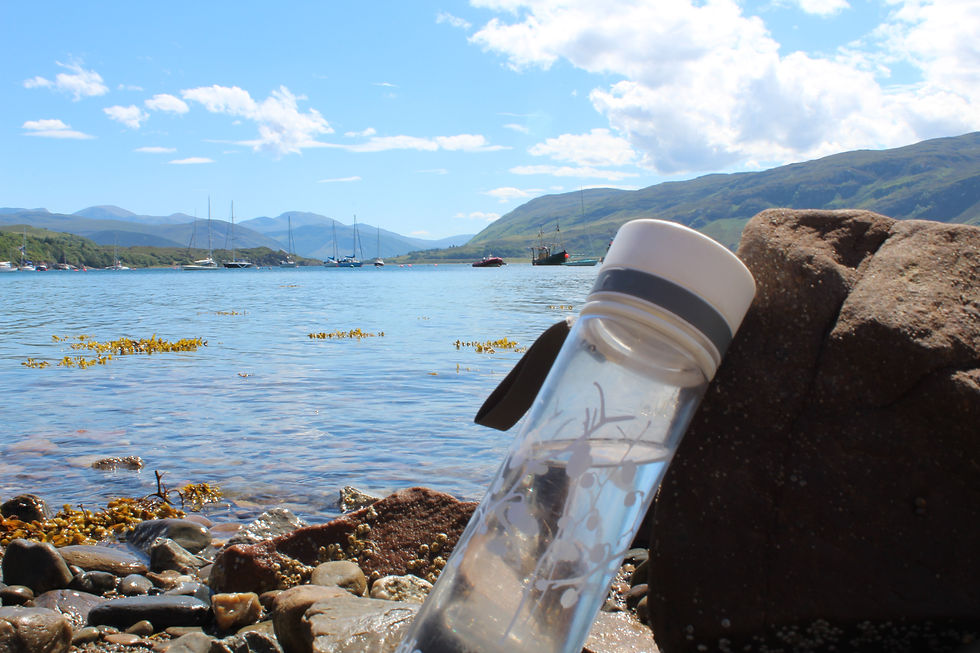 Water bottles
