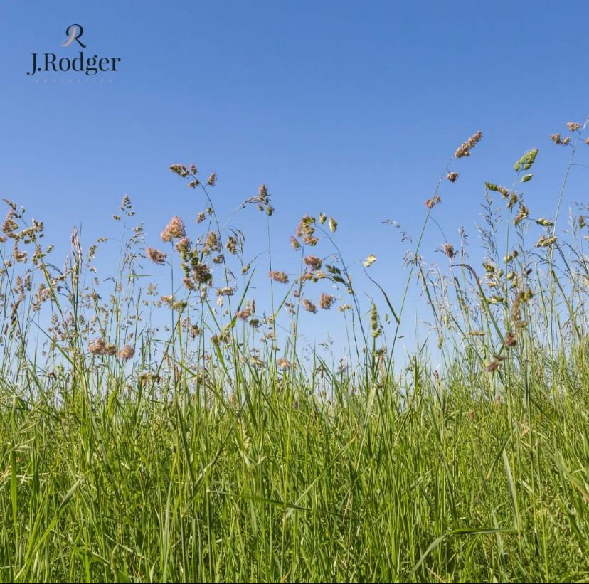 hayfever treatment