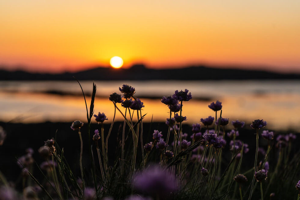 lihou island sunset