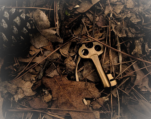 An old brass key dropped in the woods._edited.jpg