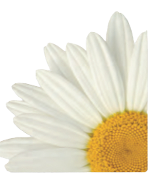 DAISY AWARD_edited.png