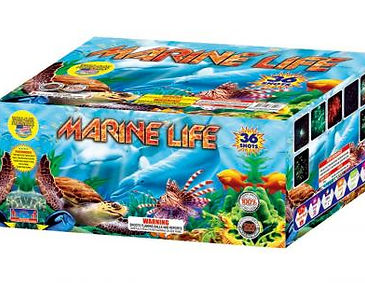 marine life .jpg