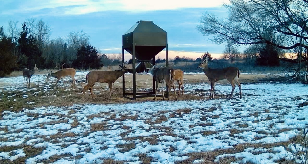 Deer feeder deer hunting in Great Bend Kansas