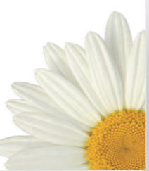 DAISY AWARD