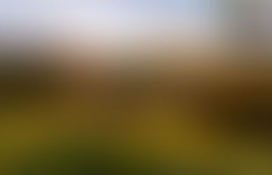 2022 New Year's Update Video