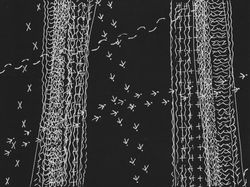 Tracks #13 (2017)