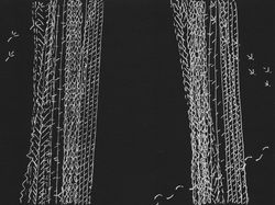 Tracks #12 (2017)