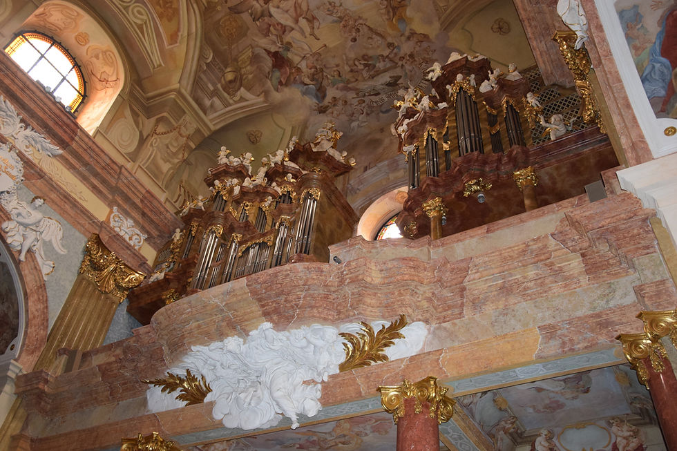 DSC_0448.JPG