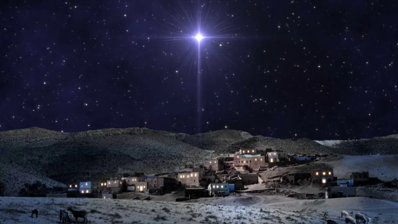 Star.webp