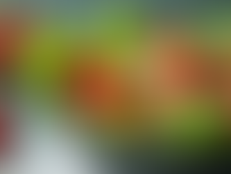 Dietician-Approved Recipes for Balanced Eating Plans