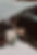 28013F71-C4B9-4A4D-80DE-D1B2F2B47996.jpeg