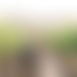 A Napa Valley Wedding Told Through Paper, Place & Story