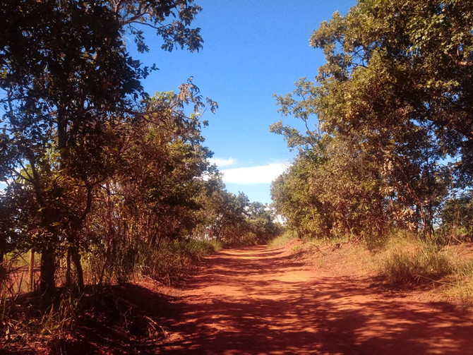 Caminhos de Rosa