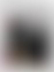 Uma rosa só - Muriel Barbery