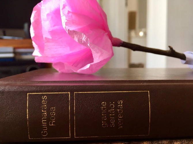 "Grande Sertão: Veredas" de João Guimarães Rosa