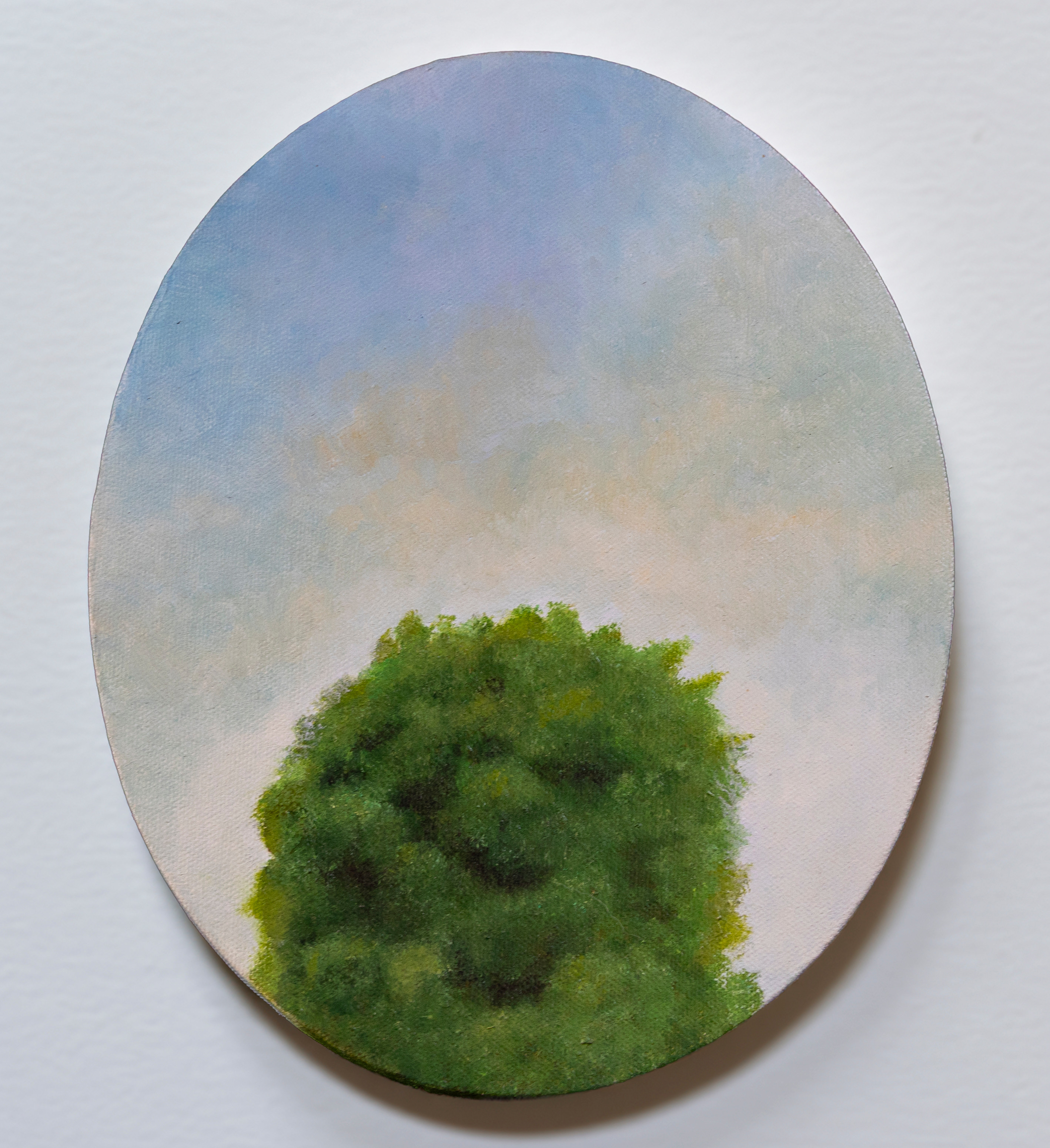 Tree Top #4