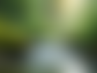 Discover the Power of Soundscapes for Relaxation Therapy